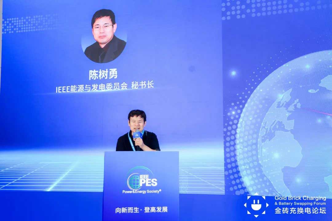 IEEE PES能源與發(fā)電委員會秘書長陳樹勇