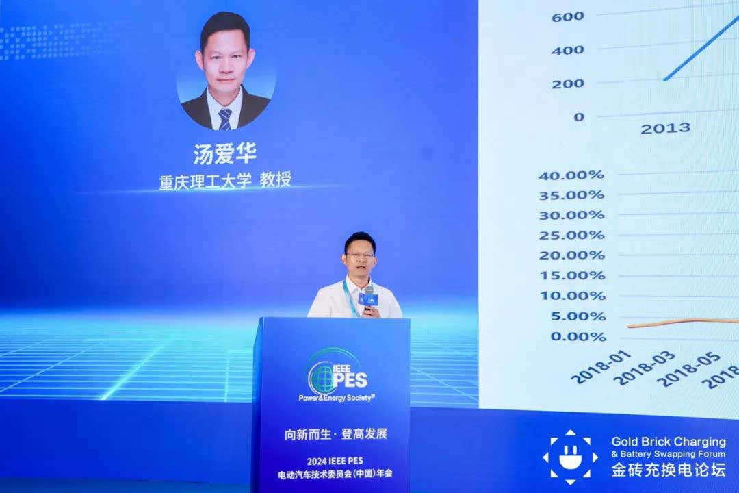 重慶理工大學(xué)湯愛華教授