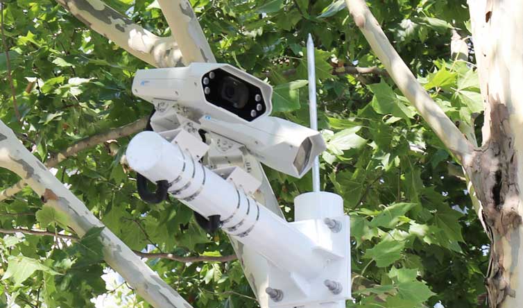 路內(nèi)停車(chē)