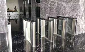 東莞保時(shí)捷大廈速通門(mén)案例