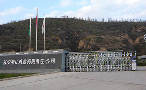 延安勞山雞業(yè)有限責任公司伸縮門案例