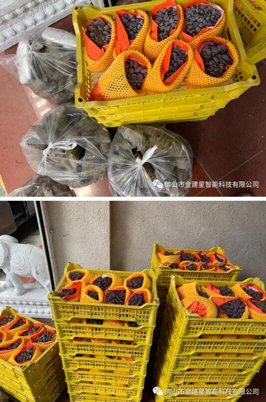 端午傳情，濃情粽香