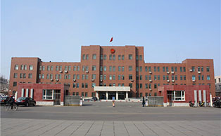 沈陽(yáng)市蘇家屯區(qū)人民政府伸縮門(mén)工程案例