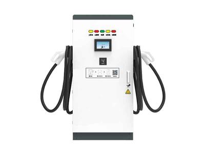 其他 - 直流充電樁EVC16-DR120K7P2（IN）