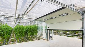 其他 - 晨農(nóng)集團溫室提升門