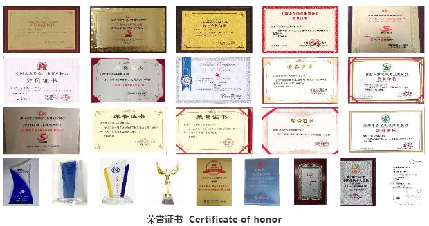 榮譽證書 Certificate of honor