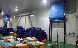 京東冷庫(kù)門案例