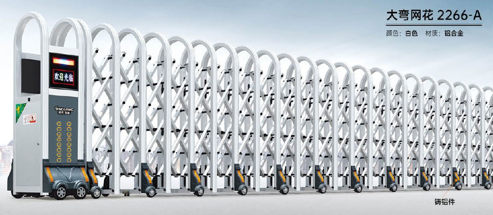 大彎網(wǎng)花-2266-A