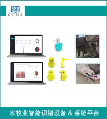 其他 - 智能畜牧測溫耳標管理系統(tǒng)