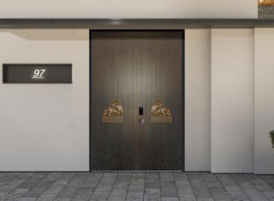 其他 - 被動式系統(tǒng)門-皇士金盾被動門-006