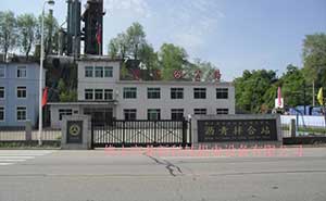 新賓公路瀝青攪拌站智能無軌懸浮門工程案例