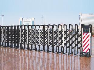 SX-004H-L靚麗彩燈電動伸縮門