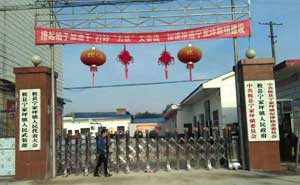 寧家坪鎮(zhèn)人民政府伸縮門案例