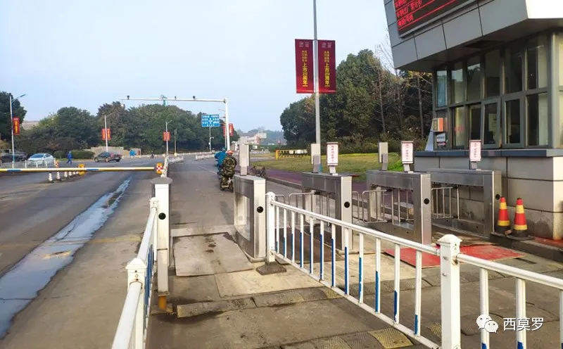 南京鋼鐵-人臉識(shí)別戶外擺閘