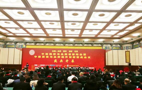 狄耐克副總經(jīng)理侯宏強(qiáng)在全國政協(xié)禮堂出席領(lǐng)獎(jiǎng)