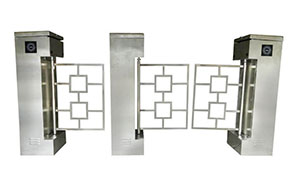 擺閘 - 非標立式擺閘