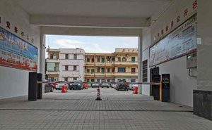 廣東省茂名電白霞洞人民政府