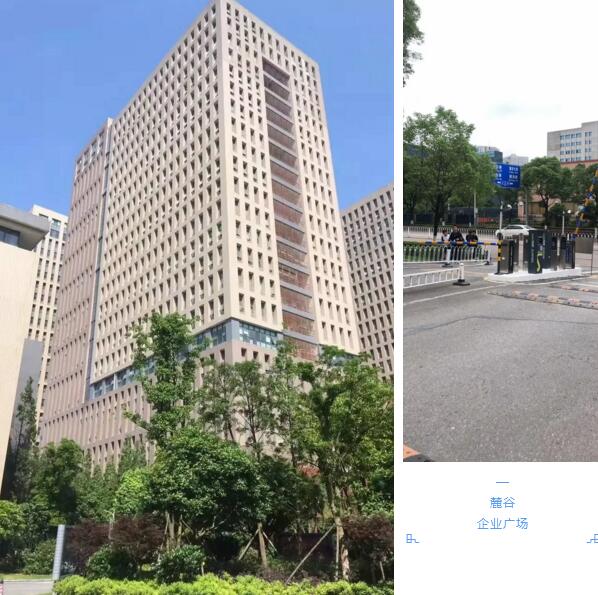 麓谷企業(yè)廣場(chǎng)