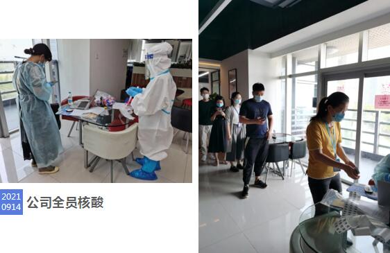 公司全員核酸