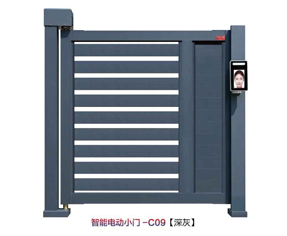 其他 - 智能電動(dòng)小門C09