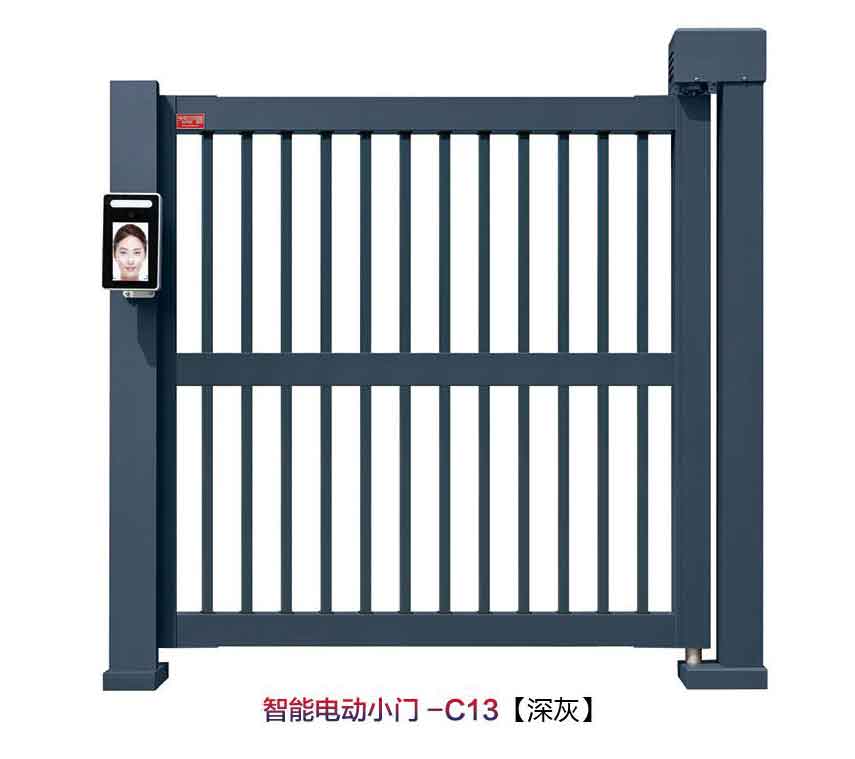 其他 - 智能電動小門C13
