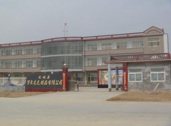 祝賀故城縣萬泉皮毛制品有限公司迎來衡水出安智能電動伸縮門