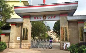 梧州藤縣太平鎮(zhèn)人民政府電動伸縮門案例