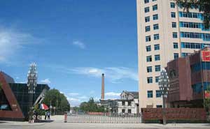 朝陽東風(fēng)朝陽柴油機(jī)有限責(zé)任公司電動(dòng)伸縮門案例