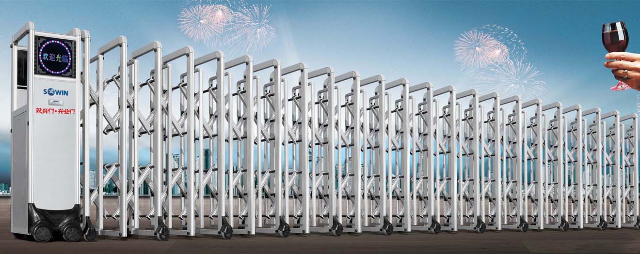 靚麗 （型號：SX-001Y-D）