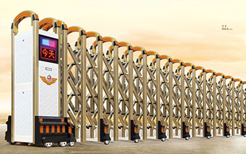 諾系3800E型（香檳）