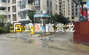 玉龍花園道閘案例