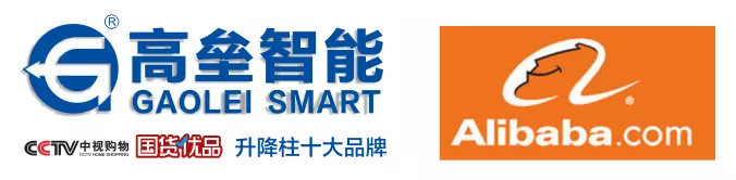 阿里巴巴企業(yè)外貿(mào)國際站戰(zhàn)隊團隊蒞臨我公司考察指導工作