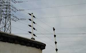 廈門金磚會(huì)議電子圍欄案例 - 中出網(wǎng)-智能出入口與停車充電門戶